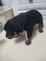 processed/ec5cd8fc-1f77-4d5e-b1c7-78c5723028ad/facility/79001869-af80-451e-afa4-fe993a5ed26c