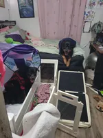 processed/ec5cd8fc-1f77-4d5e-b1c7-78c5723028ad/facility/c7d8a0ca-582c-4b56-93e1-790a1ac82667