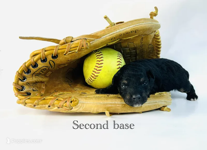 Second base