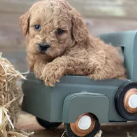 processed/ec694002-47e7-4afb-8cb2-991422f5c9bf/facility/6dc65567-9c24-4b48-b2dc-10c337c2f488