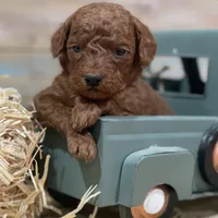 processed/ec694002-47e7-4afb-8cb2-991422f5c9bf/facility/bcf35feb-f5f0-4238-a181-7ecc3d5a499c