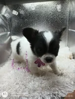 processed/ec6f1275-0324-41d6-baaa-0960767ca115/facility/54aba973-0842-4ab5-bf17-961782777b5f