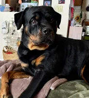 processed/ec6f1275-0324-41d6-baaa-0960767ca115/facility/750e46f8-e422-4a16-8c24-846f7cb4cbe6