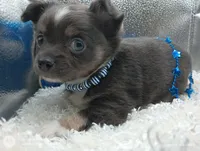 processed/ec6f1275-0324-41d6-baaa-0960767ca115/facility/870e19c3-2113-43e6-907d-60fcd9036793