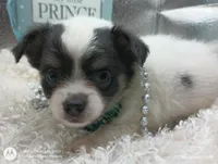 processed/ec6f1275-0324-41d6-baaa-0960767ca115/facility/93831cd3-46bd-48e7-ae57-64382886b367