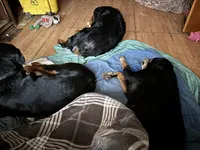 processed/ec6f1275-0324-41d6-baaa-0960767ca115/facility/9761a812-5d83-463e-9f20-1260dd1bcc59