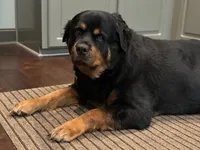 processed/ec6f1275-0324-41d6-baaa-0960767ca115/facility/df2c67b0-b2ae-4e78-a3ad-28f08649ab37