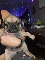 processed/ec7b8e08-8299-4b12-bb6b-1c1624a5209d/listing/70803f0a-dd17-4849-aa8f-912bd0248165/62d8bd55-bf67-4668-887a-e5d71ded2656