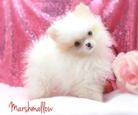 processed/ec85fc01-1e44-4240-8e1e-ba7035ca3d4e/facility/bf58b5ad-a891-4363-a726-17546c242b5a