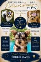 Jax, a male Yorkshire Terrier for sale in Palestine, TX – 8 of 10