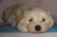 processed/ec8dd6c4-ba51-40a1-be46-054051208c5c/facility/60e4f71c-311c-4897-af2e-1649e5ed7946