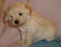 processed/ec8dd6c4-ba51-40a1-be46-054051208c5c/facility/8f772a62-cf83-4d96-8e0d-7c830e60fb0c