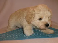 processed/ec8dd6c4-ba51-40a1-be46-054051208c5c/facility/c615cac4-c2d8-4378-8b34-dfa7a580d329