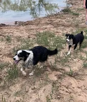 processed/ec987899-5045-46e7-952d-a76e03af8871/facility/6c7448e9-0de4-413c-a5c9-d61c8b572bc9