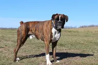 processed/eca71ca1-fb2f-496d-bc1c-9727286af0b4/facility/f9ec128a-9baf-45e2-9aff-d4889b9c61c1