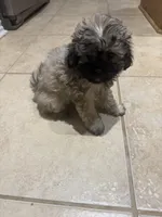 processed/ecad7148-3e44-4648-8218-521a93f702d9/listing/1306bed2-df0d-4813-9121-a10cb60c0e86/a442f0b1-c4dc-4638-8d60-584e3b80620d