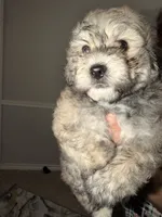 processed/ecad7148-3e44-4648-8218-521a93f702d9/listing/ef231c57-b830-4036-a6a0-160072c32057/b58c22d6-e47d-43dd-af12-8f45207158ba