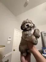 processed/ecad7148-3e44-4648-8218-521a93f702d9/listing/ef231c57-b830-4036-a6a0-160072c32057/bb2db20c-e596-44ad-9b73-ee7a4e38f3b1