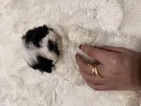 processed/ecad7148-3e44-4648-8218-521a93f702d9/listing/fbb6cfe7-f1a5-4029-8507-de04f426327d/27bcdd69-0986-4169-985f-b0d357d849f7