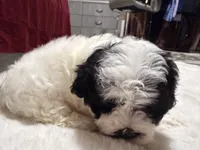 processed/ecad7148-3e44-4648-8218-521a93f702d9/listing/fbb6cfe7-f1a5-4029-8507-de04f426327d/9f7ab861-f683-40de-bc1f-b41373170faf