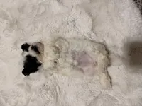 processed/ecad7148-3e44-4648-8218-521a93f702d9/listing/fbb6cfe7-f1a5-4029-8507-de04f426327d/c465846d-b239-43c0-ac3f-45663c9088a1