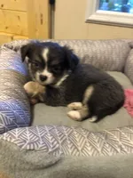 processed/ecb13b48-0492-4041-af2b-f33161e4d11e/facility/1551428e-6c87-4653-a939-a4a24cd0158f