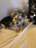 processed/ecb13b48-0492-4041-af2b-f33161e4d11e/facility/20622131-330d-42fc-af0e-8130e7f1bba4