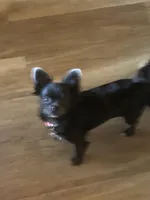 processed/ecb13b48-0492-4041-af2b-f33161e4d11e/facility/2eff7604-7a7b-4b7a-b806-03225a61729f