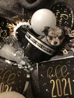 processed/ecb13b48-0492-4041-af2b-f33161e4d11e/facility/4893dcd7-9219-4586-b326-a43f640a5523