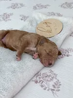 processed/ecbc6689-49c0-45db-ab43-d4056a198b0a/listing/0814f8d7-27fe-4244-8994-128677f4eea2/5ddcdb9a-886a-4cfb-af6b-ea6f830d7896