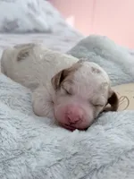 processed/ecbc6689-49c0-45db-ab43-d4056a198b0a/listing/75e209f9-41c4-455b-92de-0d8350b2c308/4c680d97-60b7-47b1-8a60-c327a14debc4