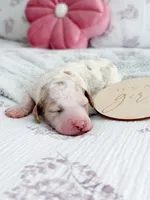 processed/ecbc6689-49c0-45db-ab43-d4056a198b0a/listing/75e209f9-41c4-455b-92de-0d8350b2c308/7776f1f7-ef69-48f6-b9d9-435fcc934ded