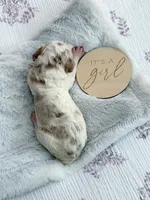 processed/ecbc6689-49c0-45db-ab43-d4056a198b0a/listing/75e209f9-41c4-455b-92de-0d8350b2c308/7e17e307-4a0f-45ca-af7d-12c4f37032d8