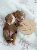 processed/ecbc6689-49c0-45db-ab43-d4056a198b0a/listing/d41e3f73-09f6-4cf0-81d8-508e7862cd7b/5f100dcb-f03d-4eff-9589-b2e55834eac0