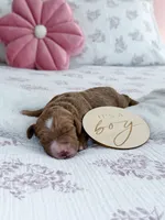 processed/ecbc6689-49c0-45db-ab43-d4056a198b0a/listing/d41e3f73-09f6-4cf0-81d8-508e7862cd7b/aaf325b5-56f1-4c96-a8a3-67f181659a66