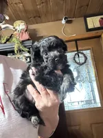 processed/ecc5db74-5e96-46f9-8f62-5696a56fbdcc/listing/3dc657cd-3a5b-47e7-8940-1d45d4e6ee08/347758a6-6b27-44cd-be1c-58f24a27608f