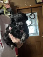 processed/ecc5db74-5e96-46f9-8f62-5696a56fbdcc/listing/3dc657cd-3a5b-47e7-8940-1d45d4e6ee08/42eb37b5-78c5-4f7e-bc9e-11b21f27ae05