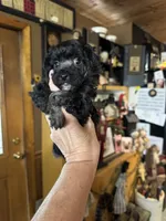 processed/ecc5db74-5e96-46f9-8f62-5696a56fbdcc/listing/3dc657cd-3a5b-47e7-8940-1d45d4e6ee08/5b06e845-6be1-4325-8f70-d0038891482d