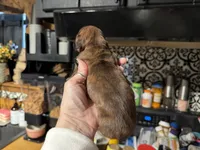 processed/ecc5db74-5e96-46f9-8f62-5696a56fbdcc/listing/88ee7b10-9f07-4c49-98ab-f3a95d73cdbd/aa5488f4-a2e5-4ad9-a23a-4e85c832d0f1