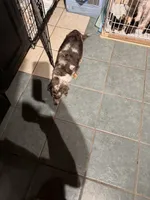 processed/ecc5db74-5e96-46f9-8f62-5696a56fbdcc/listing/88ee7b10-9f07-4c49-98ab-f3a95d73cdbd/cd3d65c1-2084-42a5-b618-4d0cfb2bacde