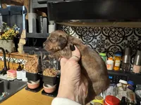 processed/ecc5db74-5e96-46f9-8f62-5696a56fbdcc/listing/88ee7b10-9f07-4c49-98ab-f3a95d73cdbd/edfc3c9b-77eb-495c-822c-25c56a52a449