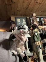 processed/ecc5db74-5e96-46f9-8f62-5696a56fbdcc/listing/ef22df64-2275-4f39-97b9-224516ef7ff0/7197a7ac-4cec-4d13-9b84-2549c9e10aa5