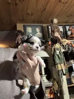 processed/ecc5db74-5e96-46f9-8f62-5696a56fbdcc/listing/ef22df64-2275-4f39-97b9-224516ef7ff0/878016cf-413d-4c77-a411-20004804188e