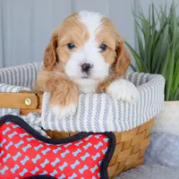 processed/ecc72c71-4acf-406f-b388-55eb0b2aa64e/facility/26a5bf12-524d-4506-a05e-e715cf12427b