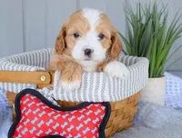 processed/ecc72c71-4acf-406f-b388-55eb0b2aa64e/facility/26a5bf12-524d-4506-a05e-e715cf12427b