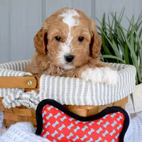 processed/ecc72c71-4acf-406f-b388-55eb0b2aa64e/facility/7b34d713-1b67-4f0f-96ec-f841cc0c9503