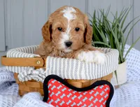 processed/ecc72c71-4acf-406f-b388-55eb0b2aa64e/facility/7b34d713-1b67-4f0f-96ec-f841cc0c9503