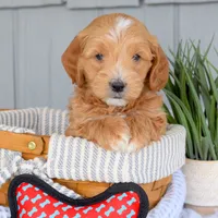 processed/ecc72c71-4acf-406f-b388-55eb0b2aa64e/facility/babe2120-cec1-4adb-a6b2-9b1d74d6615b