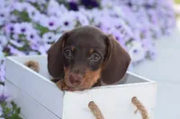 processed/ecc72c71-4acf-406f-b388-55eb0b2aa64e/facility/cb5b66e1-0601-47d5-93ec-e8221d84dcb5