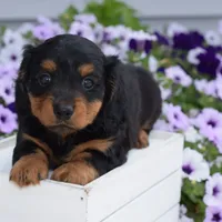 processed/ecc72c71-4acf-406f-b388-55eb0b2aa64e/facility/f3c469a9-6e20-4aa6-881d-e8c00fc39fcc